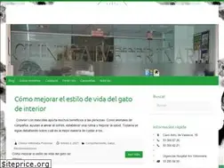Sites similar to vetpoblenou.com