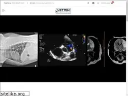 Sites similar to vettem.mx
