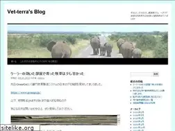 Sites similar to vetterra.wordpress.com