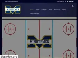 Sites similar to vfminutemen.com