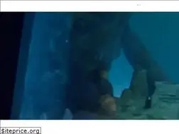 Sites similar to vgpmarinekingdom.in