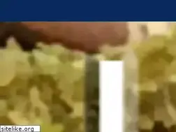 Sites similar to vhs-vogtland.de