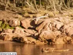 Sites similar to viajaryotraspasiones.com
