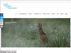 Sites similar to viapontica.org