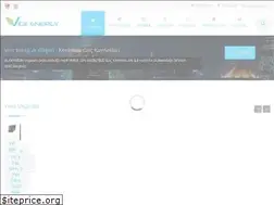 Sites similar to viceenerji.com