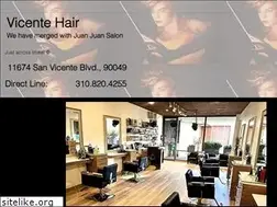 Sites similar to vicentehair.com