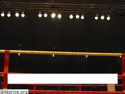 Sites similar to victoriousboxersrevolution.com