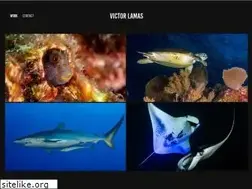 Sites similar to victorlamas.com