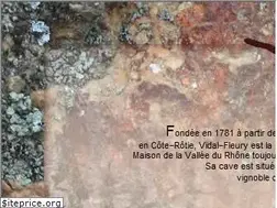Sites similar to vidal-fleury.com