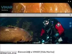 Sites similar to vidamarina.info