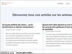 Sites similar to video-humour-animaux.com
