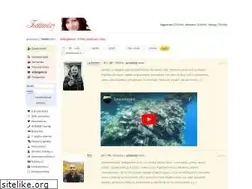 Sites similar to videogalerie.cz