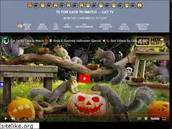 Sites similar to videosforcat.com