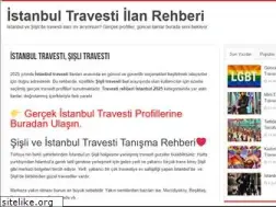 Sites similar to vidistanbul.com