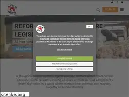 Sites similar to vier-pfoten.eu