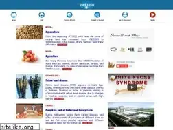 Sites similar to vietlinh.us