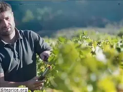 Sites similar to vignerons-ardechois.com