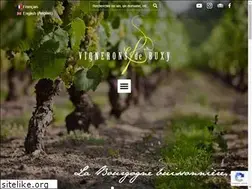 Sites similar to vigneronsdebuxy.fr