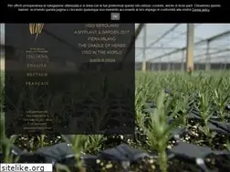 Sites similar to vigogerolamosrl.com