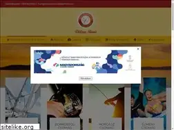 Sites similar to viktoriapanzio.hu