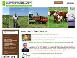 Sites similar to viktoriy.ru