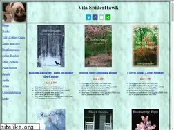 Sites similar to vilaspiderhawk.com