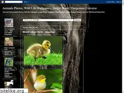 Sites similar to vildlife.blogspot.com