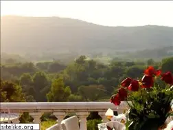 Sites similar to villatropez.com