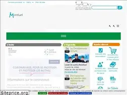 Sites similar to ville-montluel.fr