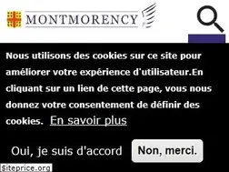 Sites similar to ville-montmorency.fr