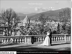 Sites similar to vincenzobologna.com