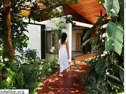 Sites similar to vincestudiocr.com