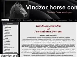 Sites similar to vindzor-horse.com