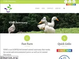 Sites similar to vine.bravebirds.org