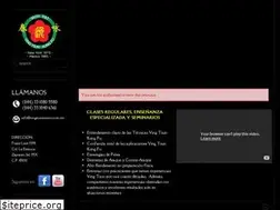 Sites similar to vingtsunmexico.com