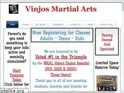 Sites similar to vinjosmartialarts.com