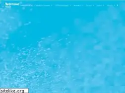 Sites similar to vinnolit.com