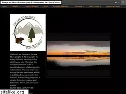 Sites similar to vinnycolucci.com