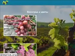 Sites similar to vinograd-loza.com