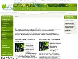 Sites similar to vinograderu.ru