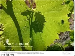 Sites similar to vinoysequedo.com