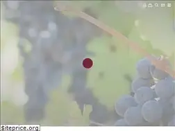 Sites similar to vinsmarcon.com