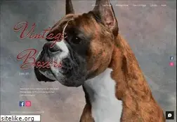 Sites similar to vintageboxers.com