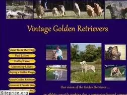Sites similar to vintagegoldens.com