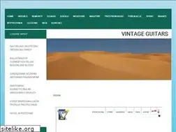 Sites similar to vintageguitars.pl