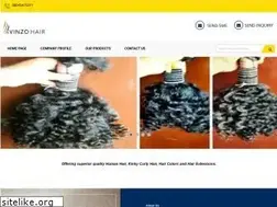 Sites similar to vinzoindianhair.com