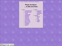 Sites similar to violettes.fr
