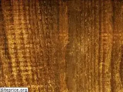 Sites similar to violinkeman.blogspot.com
