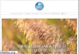 Sites similar to viragterapia.hu