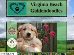 Sites similar to virginiabeachgoldendoodles.com